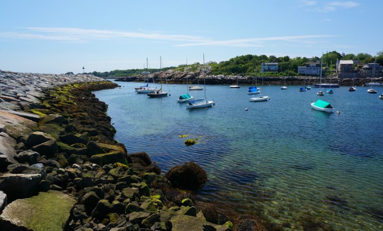 Fantastic Fishing Around Rockport